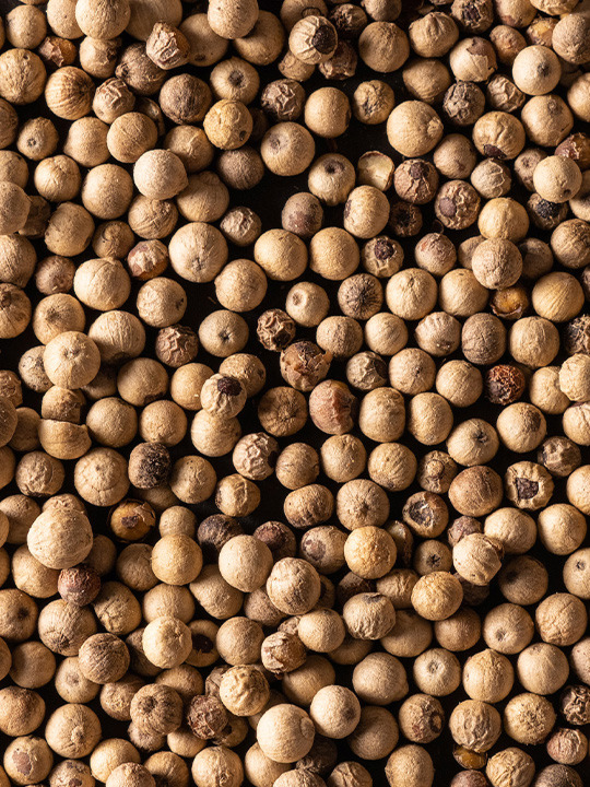 Multipack Mix Standard