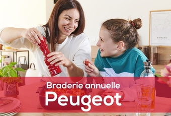Braderie Moulins Peugeot 2023